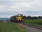 Passing by the cornfields